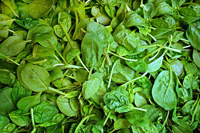 Spinat sollte in Bio-Qualität gekauft werden