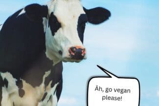 Gute Gründe, um vegan zu leben