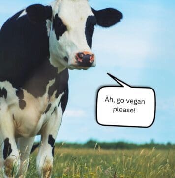 Gute Gründe, um vegan zu leben