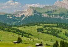 Diese Almhütten bieten veganes Essen an!