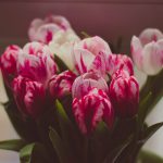 Blumenstrauß aus Tulpen