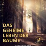 Das geheime Leben der Bäume