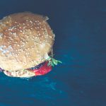 Fleischalternativen-top-oder-flop