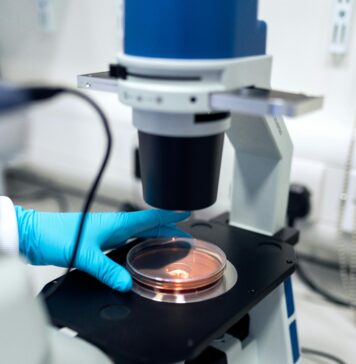 Universität Greifswald erhält Herbert-Stiller-Preis für tierversuchsfreie Forschung