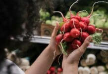 Bio-Boom! Deutsche kaufen so viele Bio-Lebensmittel wie nie zuvor