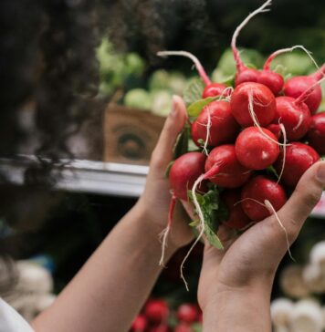 Bio-Boom! Deutsche kaufen so viele Bio-Lebensmittel wie nie zuvor