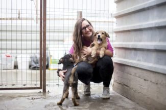 Über Straßenhunde und Tierschutzarbeit: Hunderettung Europa e.V. im Interview