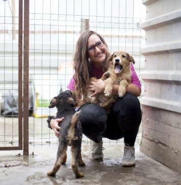 Über Straßenhunde und Tierschutzarbeit: Hunderettung Europa e.V. im Interview