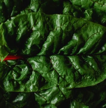 So schmeckt der Frühling – dieses Gemüse hat jetzt Saison