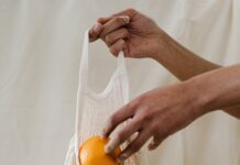 Jeder Schritt zählt! 10 Klimaschutz-Tipps für den Alltag