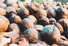 Die Fitmacher – diese Nährstoffe brauchst du