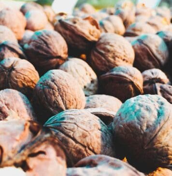 Die Fitmacher – diese Nährstoffe brauchst du