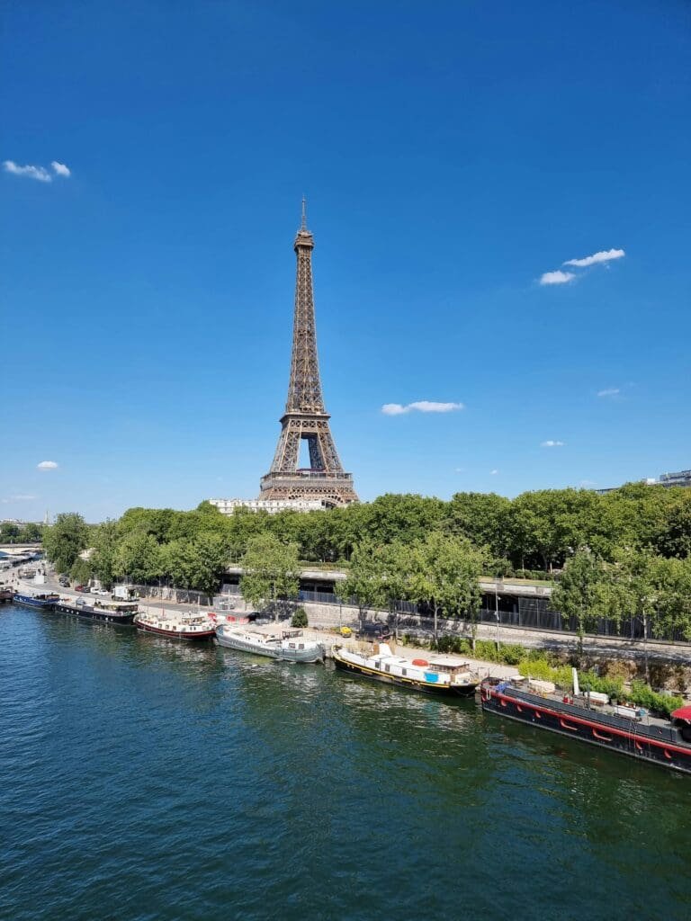 Bessere Wasserqualität: Hechte schwimmen wieder in der Seine Bessere Wasserqualität: Hechte schwimmen wieder in der Seine
