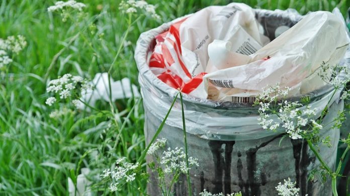 Zero-Waste-Trend: 7 Experten-Tipps, wie du deinen Plastikkonsum reduzierst