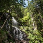 Schwarzwald-REK_0621-c-Claudi-Nir-WWF-min