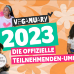 Screenshot 2023-04-13 12.15.51