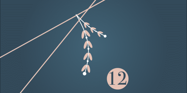 12. Türchen: Ergonomic Cozy Baby Carrier von Momcozy