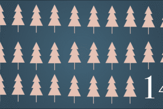 Türchen 14: 3 große Genuss-Pakete von der Tempehmanufaktur