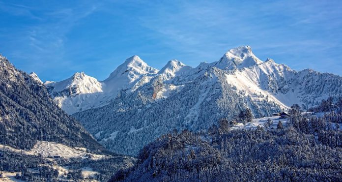 Ökosystem Alpen: Wie viel Wintersport vertragen die Berge noch?