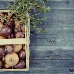 Zwiebeln