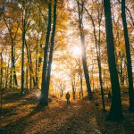 aaron-burden-G_1V58E0TyM-unsplash