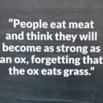 Profilbild von Emmi Kleist