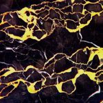 clams_casino_istrumental_tape_2-150×150