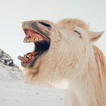 dan-cook-MCauAnBJeig-unsplash-min