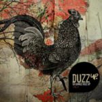 duzzup-300×200