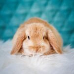 erik-jan-leusink—SDX4KWIbA-unsplash
