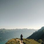 joel-jasmin-forestbird-znoL1m6MD_k-unsplash