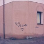 markus-spiske-NgPIi4HT4Pk-unsplash