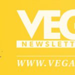 newsletter_header_0520_600px (1)