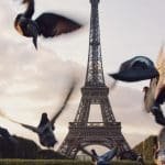 photo-1531264993164-04a70aa46453