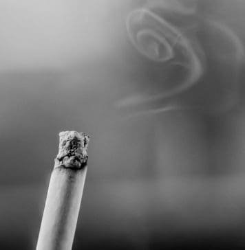 Vegan und Rauchen? Das solltest du wissen