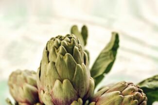 Bitterstoffe? Aber bitte!