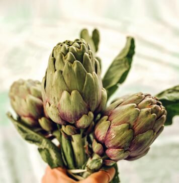 Bitterstoffe? Aber bitte!