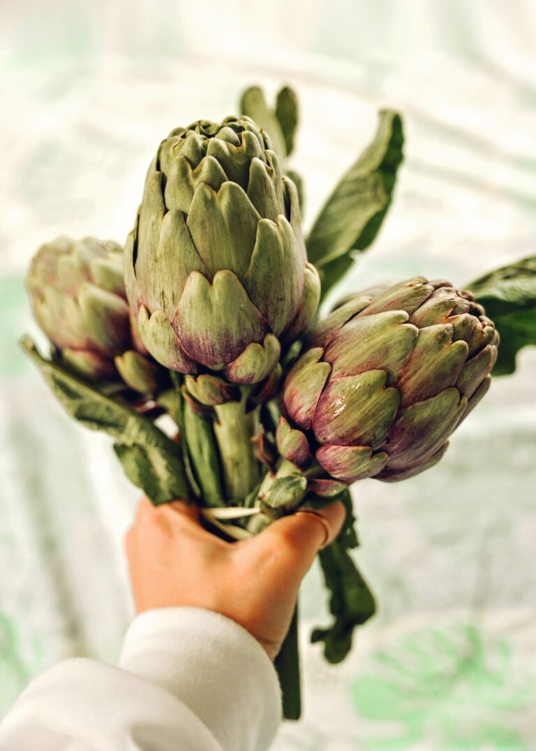 Bitterstoffe? Aber bitte!