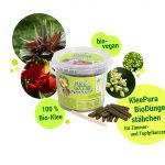 veganworld_dst_b_komprimiert copy